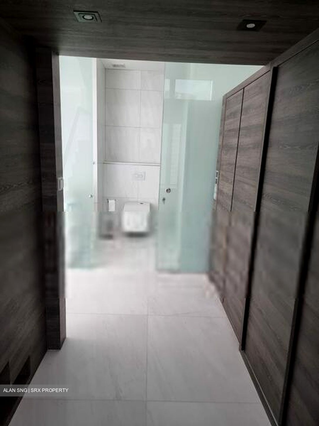 The Scotts Tower (D9), Condominium #408811021